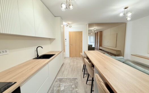 De inchirat | Apartament 2 camere | Expoziției | Domenii – Parcului 20